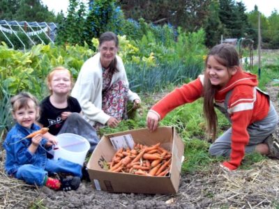 SharingGardens_Carrots.jpg