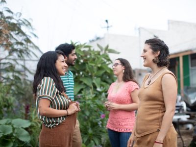 Organization Structure, Roles, and Tasks in the Next Economy