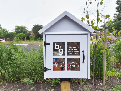 little free pantry with grass behind it