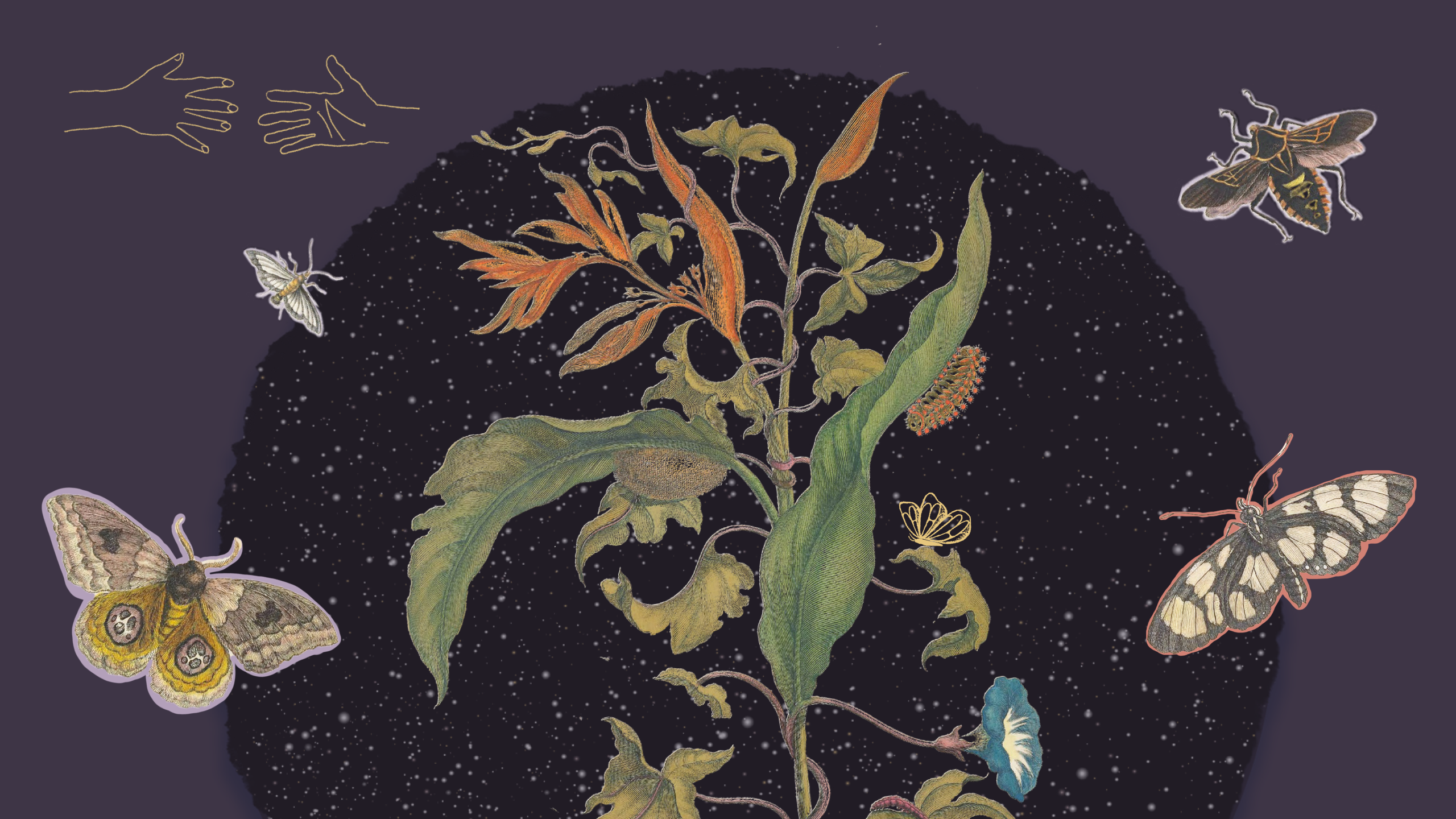 Graphic with hands reaching out to each other, plants, butterflies, and pollinator insects.
