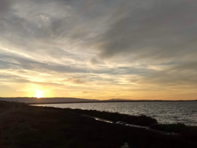 A recent sunset in the bay lands near my house. Did I ruin the experience by trying to capture it?  Photo by Neal Gorenflo.